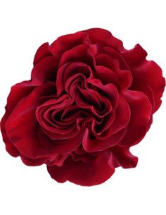 Hearts Red Roses 50 /  100 / 200  Stems 2