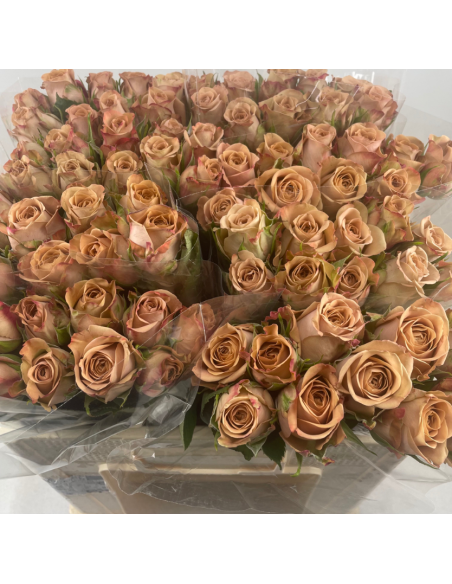 Wholesale Purple Haze Lavender Rose