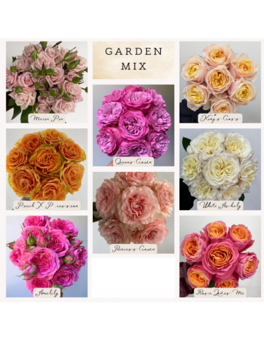 Garden Rose Mixed Box 108 Stems Garden Rose Mixed Box 108 Stems