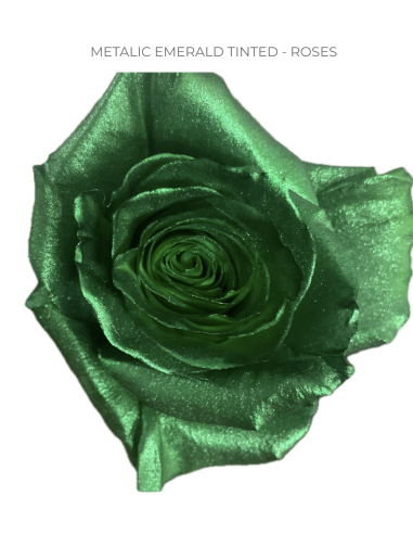 METALLIC Emerald Green Roses 50 / 100 / 200 stems