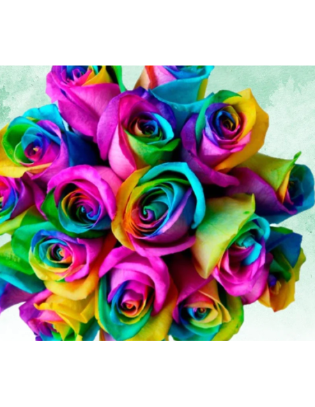 Rainbow Tinted Roses 100 Stems 50cm