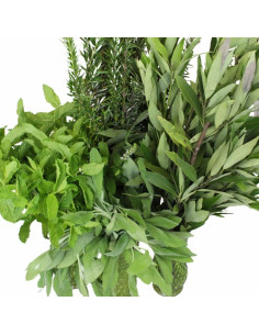 Best of Season Mixed Greenery Box