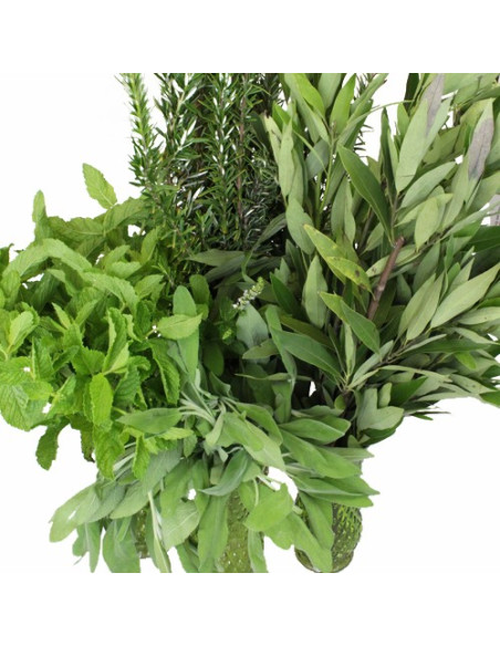 Best of Season Mixed Greenery Box