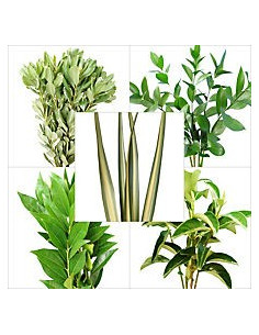 Best of Season Mixed Greenery Box 2