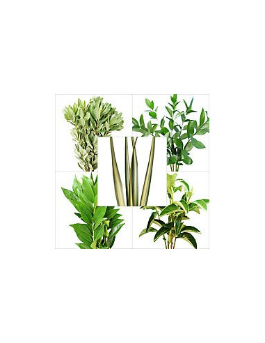 Best of Season Mixed Greenery Box