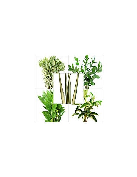 Best of Season Mixed Greenery Box