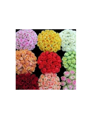 Assorted Roses 100 stems Growers Assortment