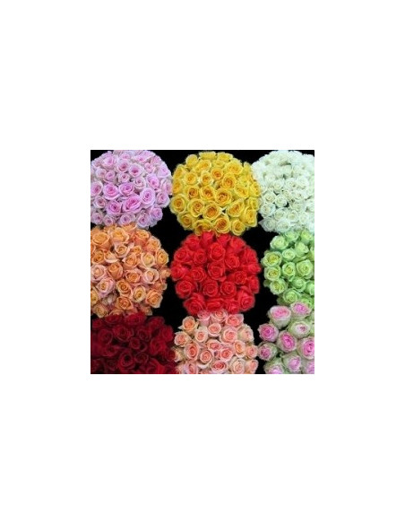 Assorted Roses 100 stems Growers Assortment