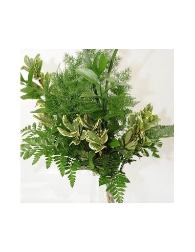 Greenery "drop in" Bouquets LARGE 5 / 10 / 15 / 20 bunches Greenery "drop in" Bouquets LARGE 5 / 10 / 15 / 20 bunches