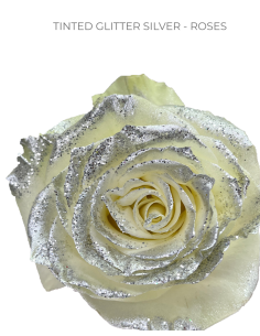 SILVER TINTED Roses Growers Choice
