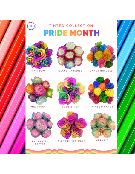Gay Pride Tinted Roses 100 Stems 50cm