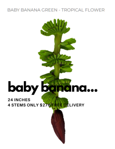 Baby Banana Tropical Flower 4 stems