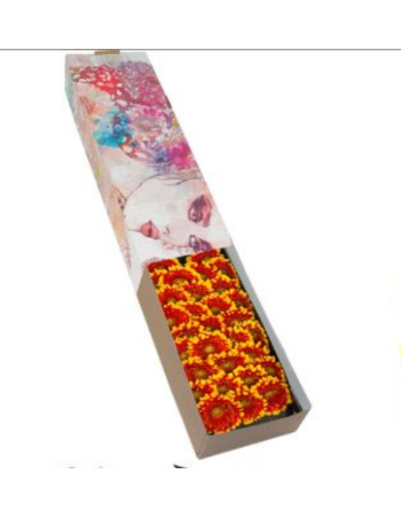 mini gerbera daisy venezi