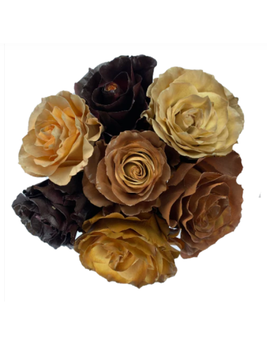 Macchiato ASSORTED Tinted Roses 100 Stems 50cm