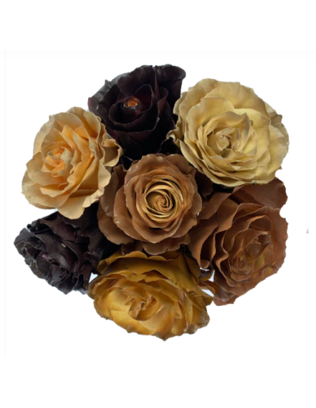 Macchiato ASSORTED Tinted Roses 100 Stems 50cm