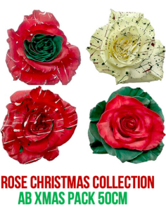 CHRISTMAS ASSORTED Tinted Roses 100 Stems 50cm 2