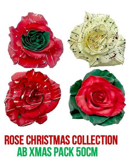 CHRISTMAS ASSORTED Tinted Roses 100 Stems 50cm
