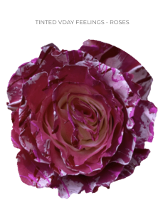 Valentines Day Tinted Roses 50  or 100 Stems 2