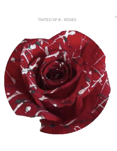 Valentines Day Tinted Roses 50  or 100 Stems 2