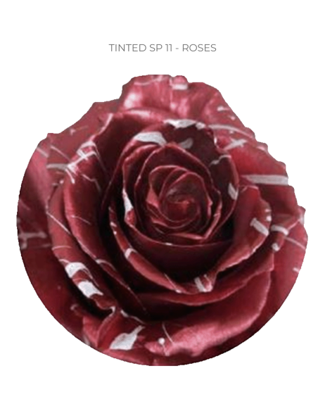 Valentines Day Tinted Roses 50  or 100 Stems