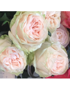 WEDDING SPIRIT Garden Rose