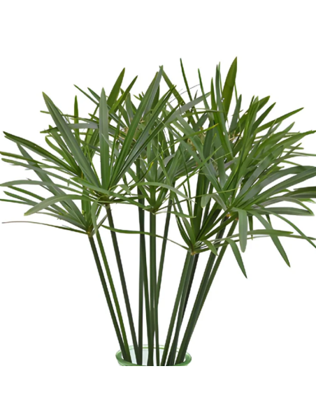 Tropical Greenery collection 15 bunches