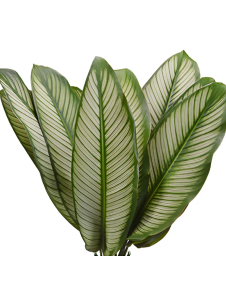 Tropical Greenery collection 15 bunches