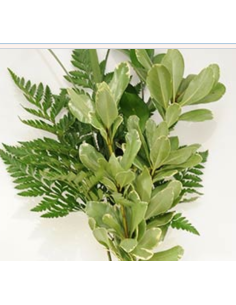 "Blessings" Greenery "drop in" Bouquets 15 bunches