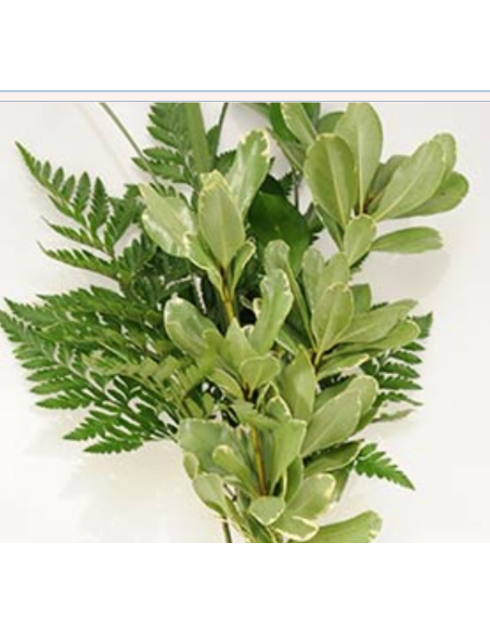 "Blessings" Greenery "drop in" Bouquets 15 bunches