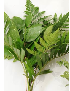 "Blessings" Greenery "drop in" Bouquets 15 bunches 2