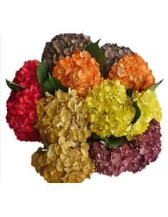 FALL TINTED Mix Hydrangea 40 stems