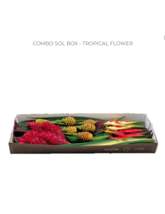 SOL Tropical Mixed Box