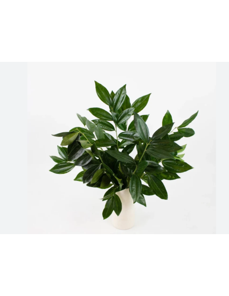 Wholesale Cocculus Greenery | Premium Lush Floral Foliage