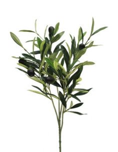 Branch Olive 5 / 10 / 15 / 20 Bunches 2