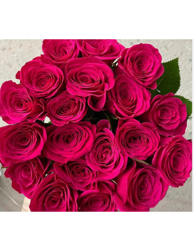 Gotcha Pink Rose 50 / 100 stems Gotcha Pink Rose 50 / 100 stems
