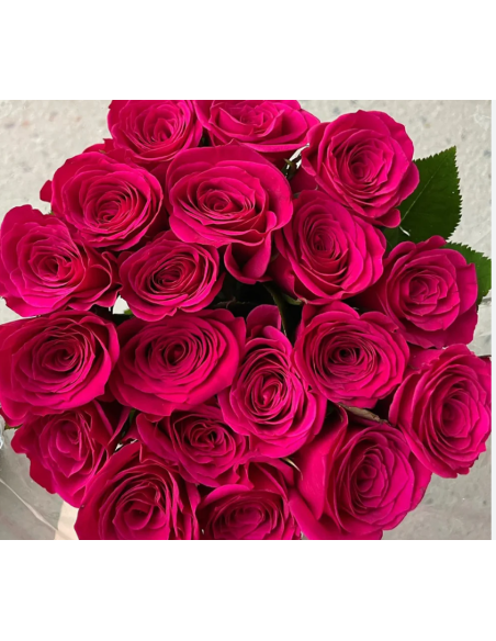 Gotcha Pink Rose 50 / 100 stems