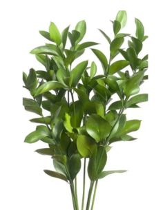 MIX AND MATCH Greenery Box