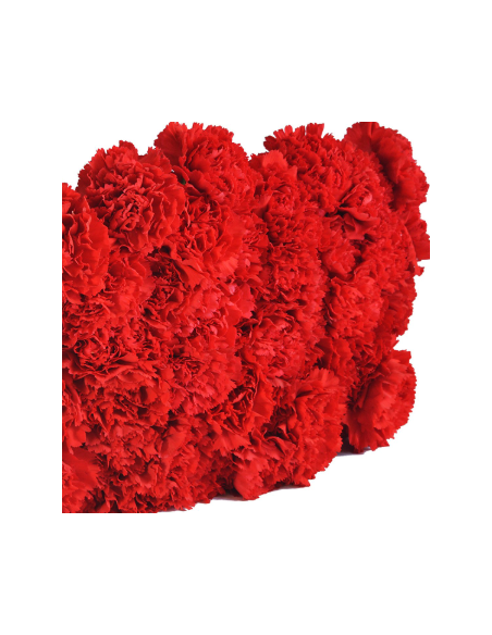 Solid Red Carnations | Classic Red Carnations Wholesale (250‑Stem Bulk Box)