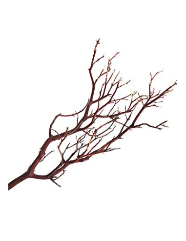 10 Manzanita Branches 24" "medium" 10 Manzanita Branches 24" "medium"