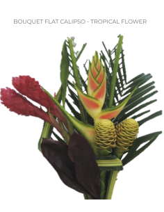 Tropical Bouquet "calipso" LARGE Premium Collection 6 bunches