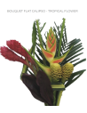 Tropical Bouquet "calipso" LARGE Premium Collection 6 bunches