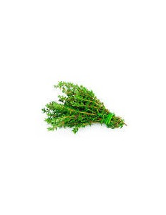 Thyme
