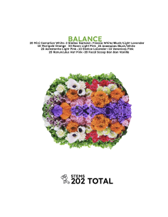 BALANCE Mixed Box 202 stems
