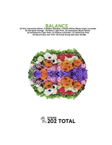 BALANCE Mixed Box 202 stems BALANCE Mixed Box 202 stems