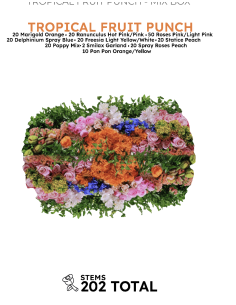 TROPICAL FRUIT PUNCH Mixed Box 202 stems