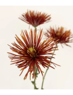 FALL 'Chispa" Spiders BULK Box 120 Stems