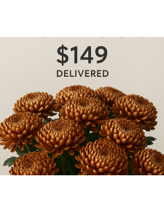 Bronze disbud fall pack / BULK Box 120 Stems