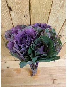 Kale (Brassica) 10 Stems 2