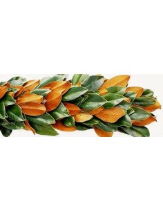 Magnolia  Garland PRICE PER FOOT