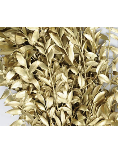 GOLD TINTED Nagi Podocarpus 5 / 10 / 15 / 20 bunches